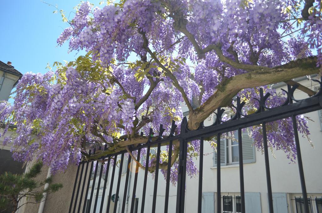 Wisteria Bed & Breakfast Fontainebleau Dış mekan fotoğraf